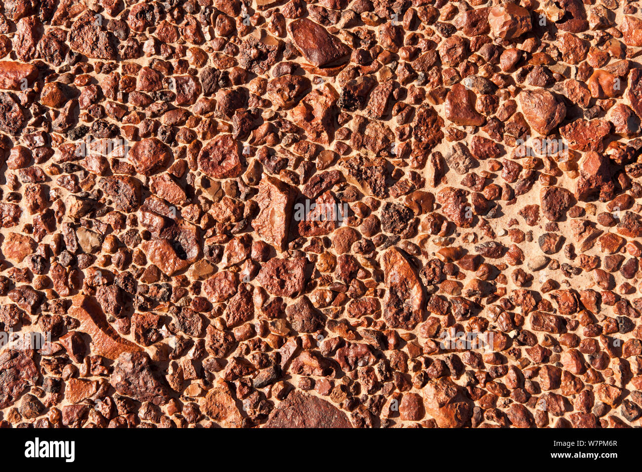 Gibber Fels- und Kiesstrand übersät Bereich der ariden oder semiariden Land in Australien. Die Felsen sind in der Regel eckige Fragmente aus aufgebrochen, in der Regel duricrust silcrete gebildet, eine gehärtete Kruste der Erde zementiert durch Kieselsäure. South Australia, Australien Stockfoto