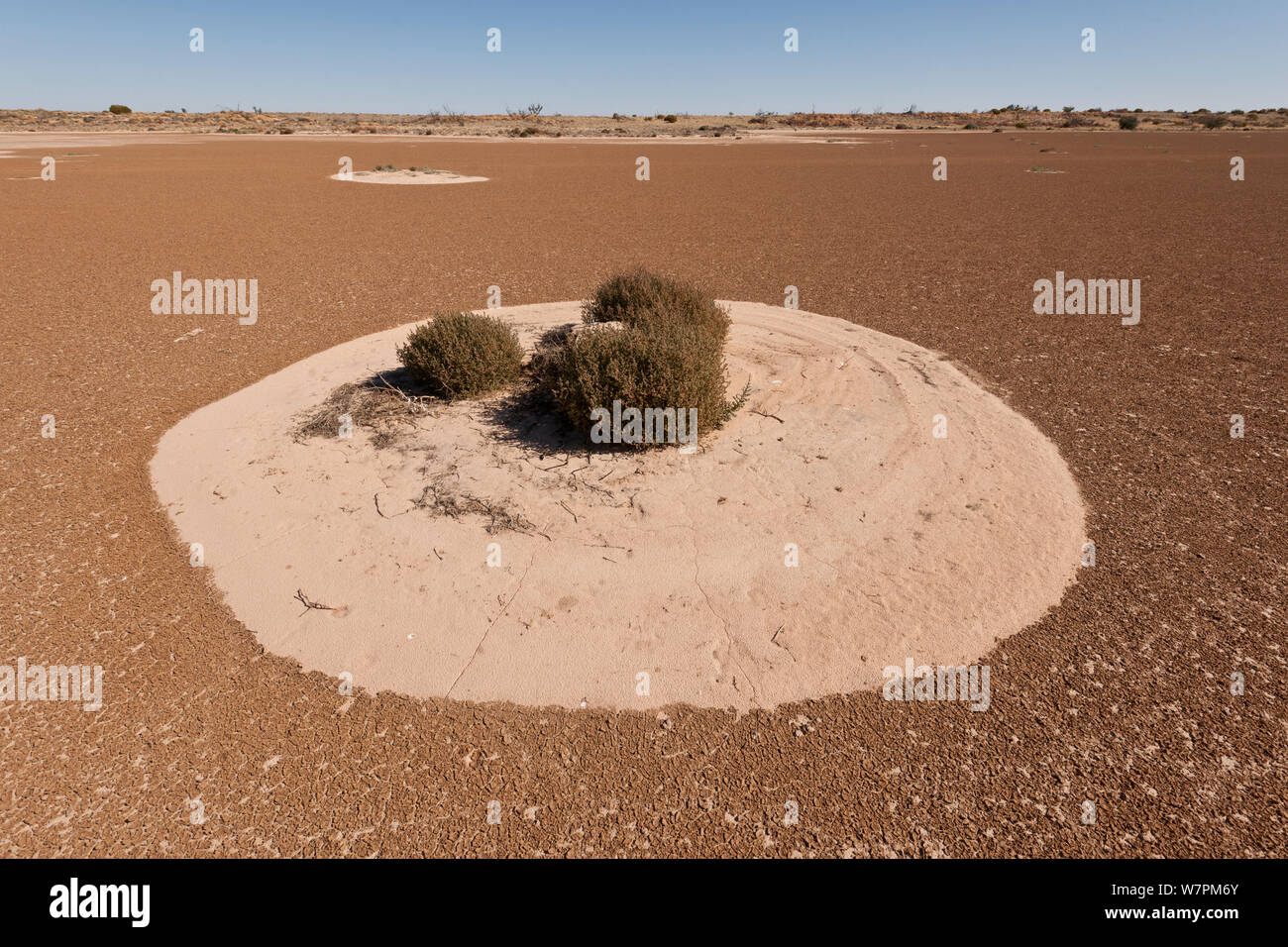 In der Wüste am Cowarie Cattle Station, South Australia Claypan Stockfoto