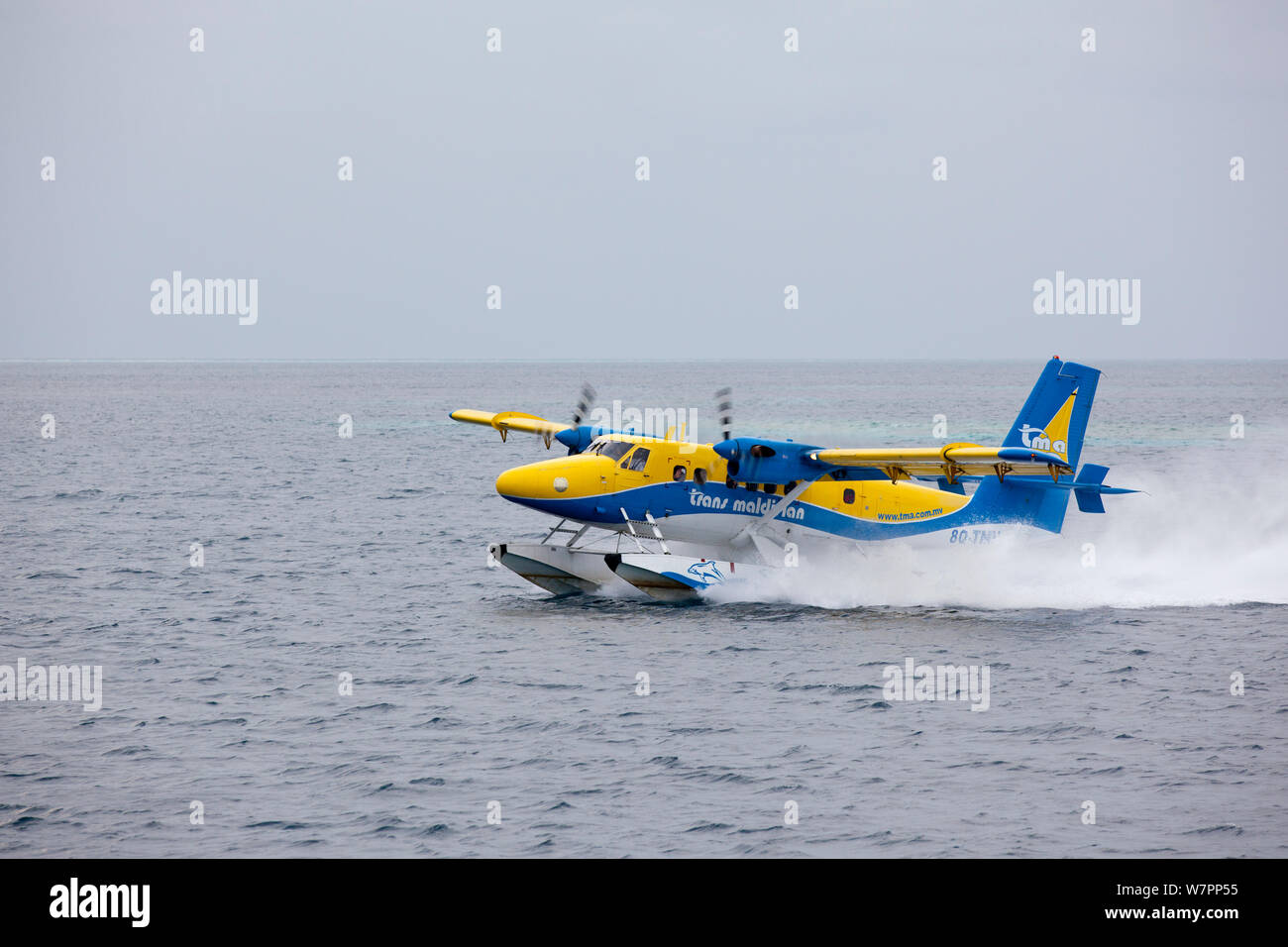 Maldivian Air Taxi, Malediven, Indischer Ozean Stockfoto