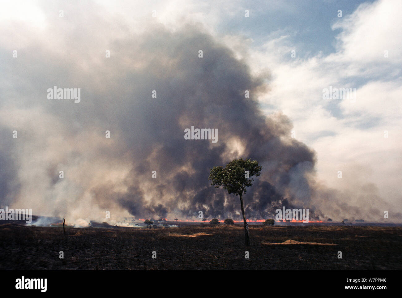 Umfangreiche heftige Gras Feuer, Savanne, während der Trockenzeit brennen, Garamba National Park, früher Zaire, jetzt Demokratische Republik Kongo Stockfoto