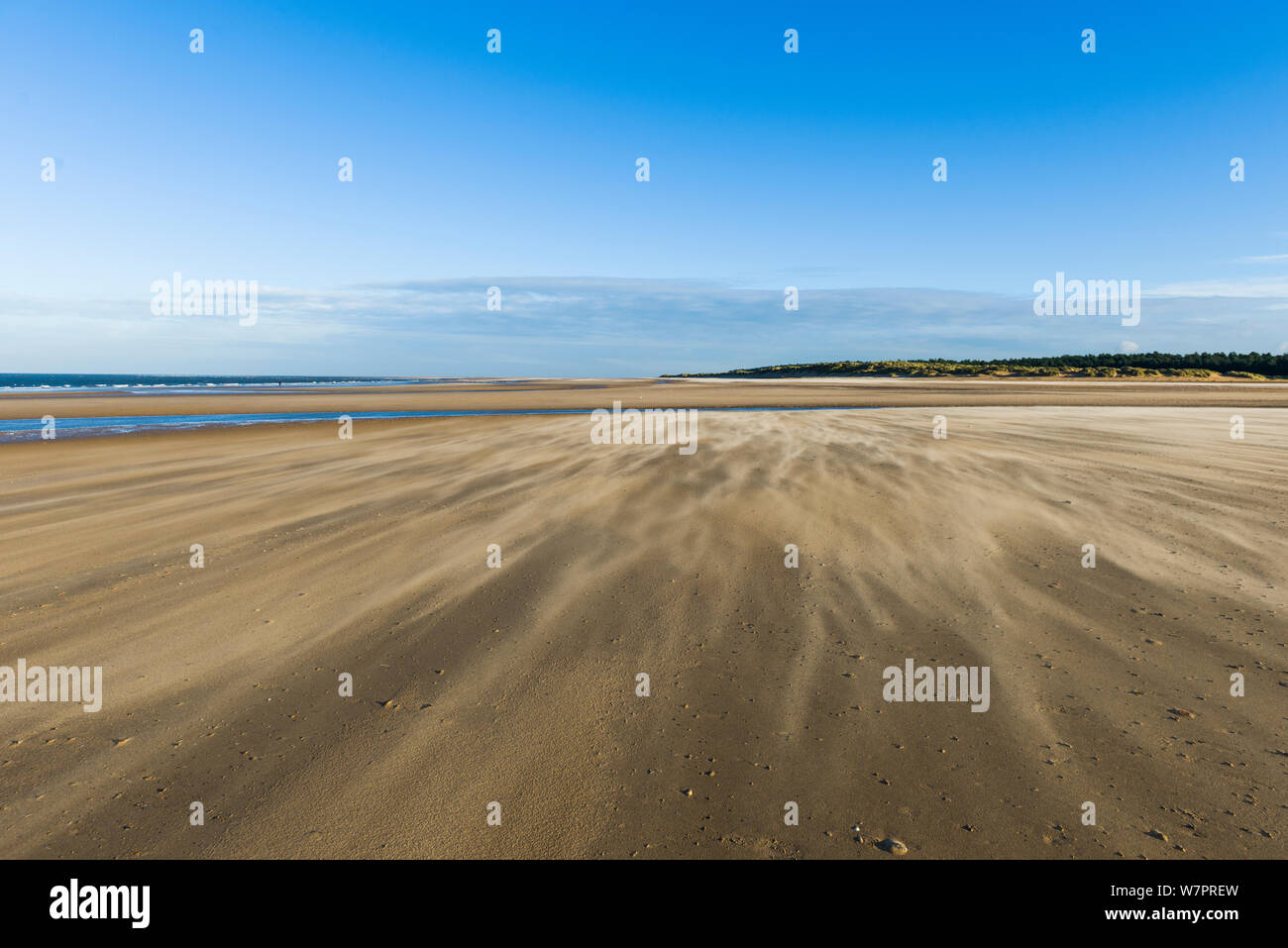 Muster in den Wind geblasen Sand, Holkham Bay, Norfolk, England Stockfoto