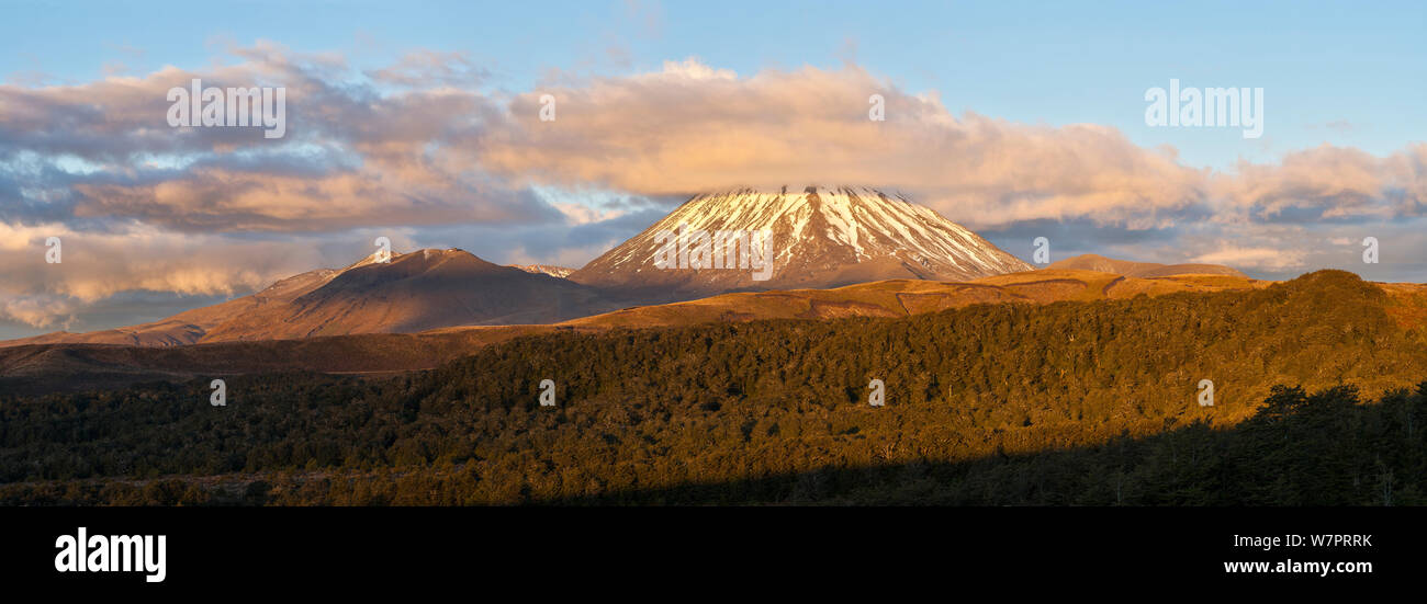 Ngauruhoe (Höhe 2287 m), mit seinem markanten Vulkankegel in den späten Abend Tongariro National Park, Taupo, Waikato Region, North Island, Neuseeland. November 2006 Stockfoto