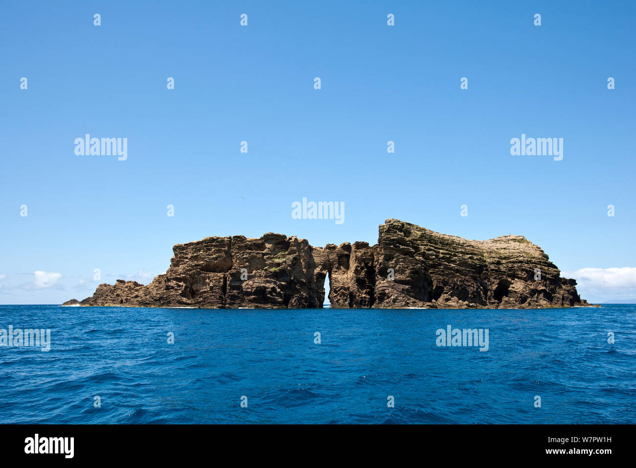 Ile da Madalena, Insel Pico, Azoren, Portugal, Atlantik Stockfoto