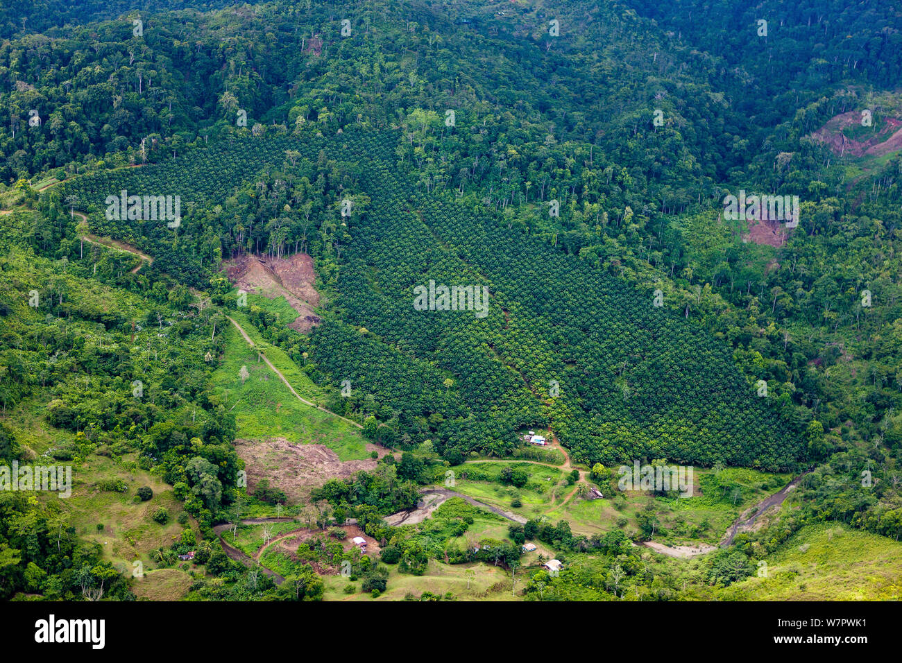 Luftaufnahme von Corcovado National Park, Costa Rica, Mai 2009 Stockfoto