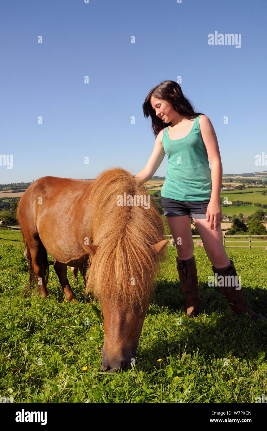 Mädchen streicheln Amerikanische miniatur Pferd (Equus caballus) Mare, wie Sie einem grasbewachsenen Hügel Paddock, Wiltshire, Großbritannien, Juli Schürfwunden. Model Released. Stockfoto