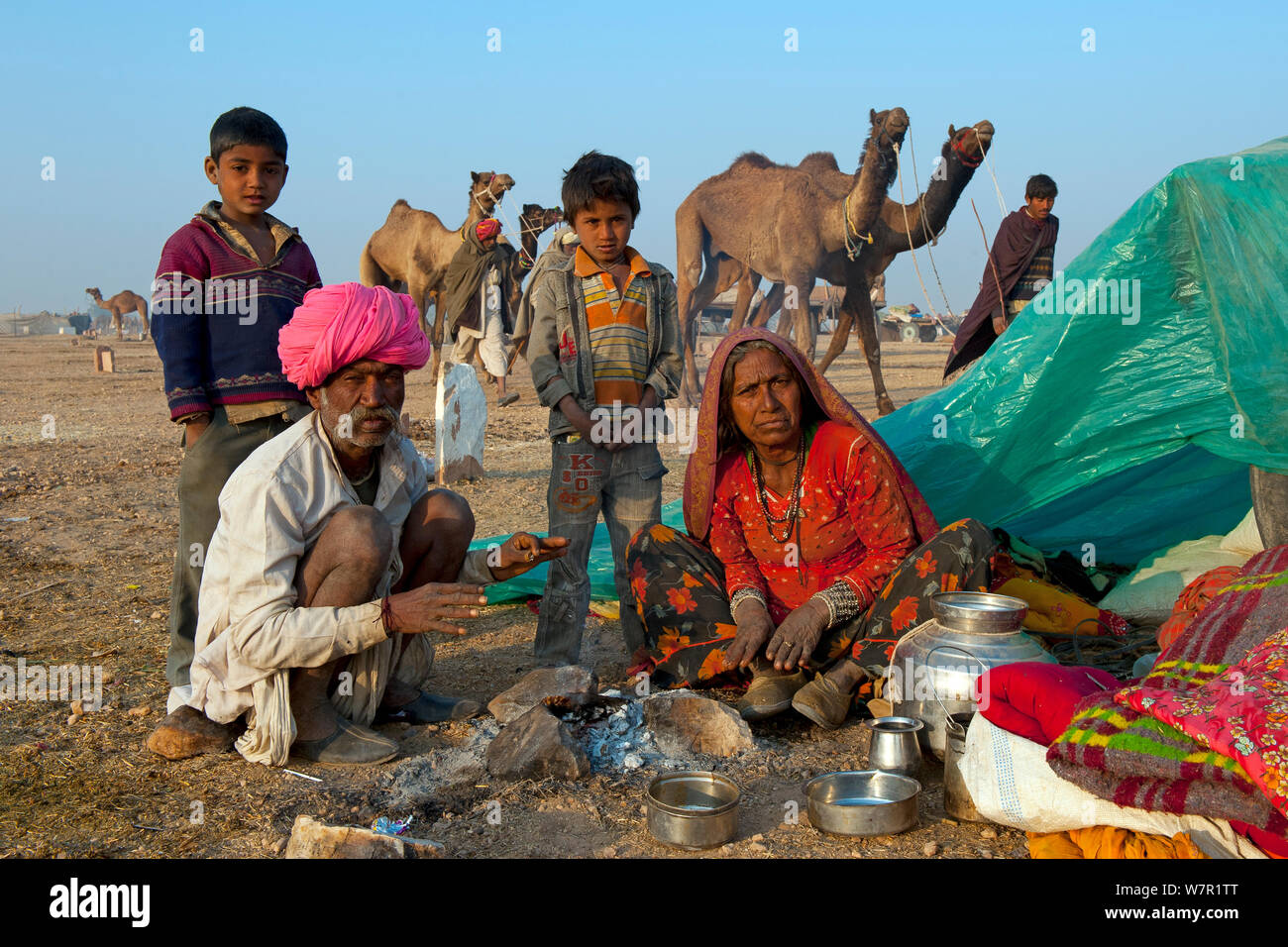 Kamelhirten mit Dromedar (Camelus dromedarius) am Viehmarkt, Wüste Thar, Rajasthan, Indien Stockfoto