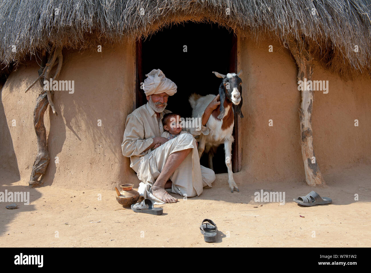 Ziege Keeper mit Baby- und inländischen Ziege (Capra aegagrus hircus) Wüste Thar, Rajasthan, Indien Stockfoto