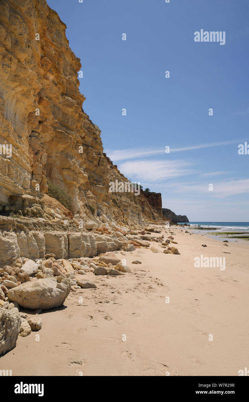 Verwittert, geschichteten Sandstein Klippen am Praia Mos, Lagos, Algarve, Portugal, Juni 2012. Stockfoto