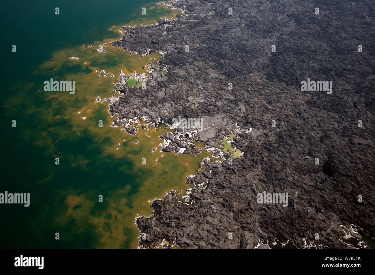 Lake Assal Shoreline - Africas niedrigsten Punkt in 515 Meter unter dem Meeresspiegel, Dschibuti, März 2008 Stockfoto