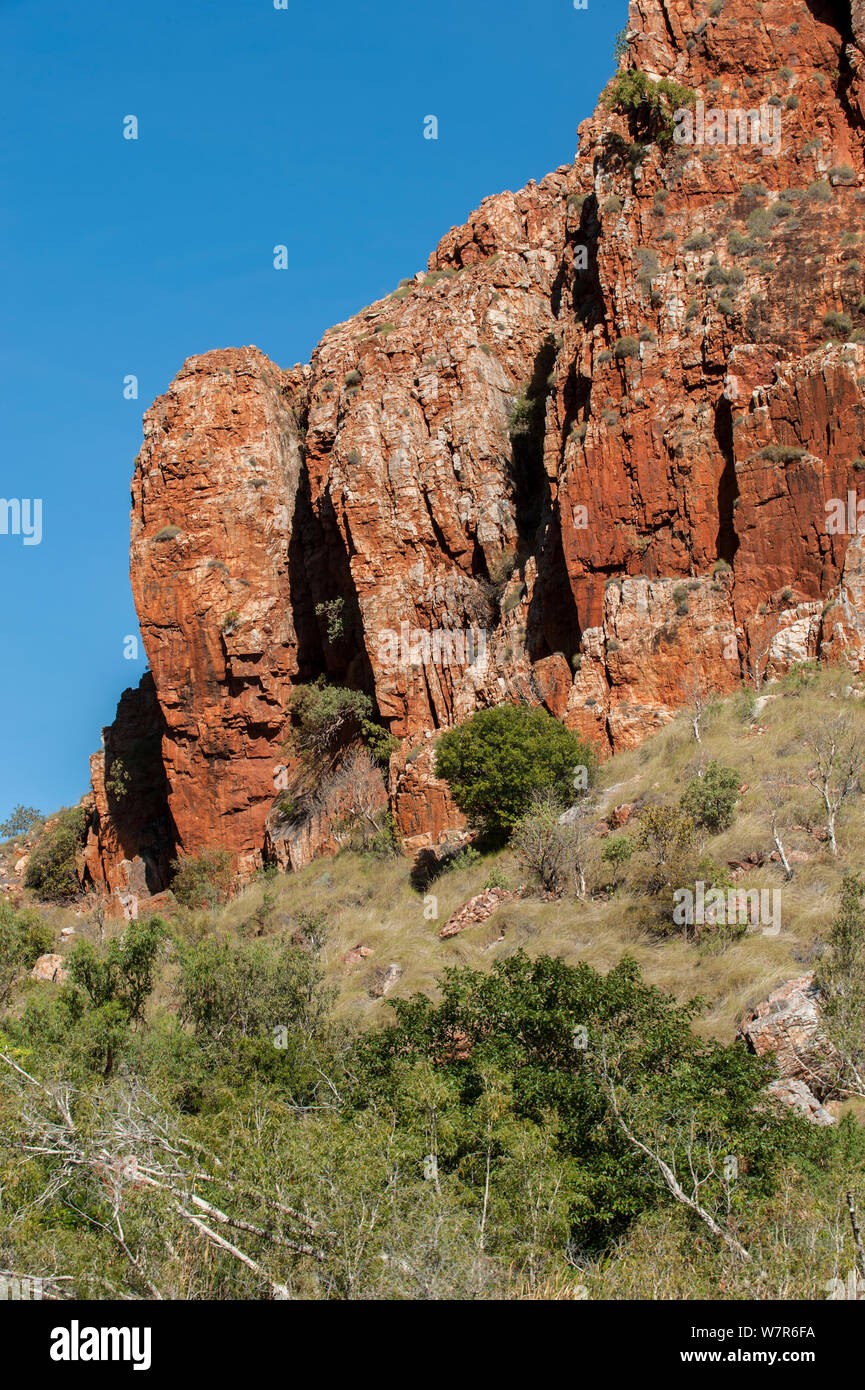 Sandstein Klippen entlang der oberen Ord River, unterhalb der Ord River Staumauer, Kununurra, Western Australia, Juli 2010 Stockfoto