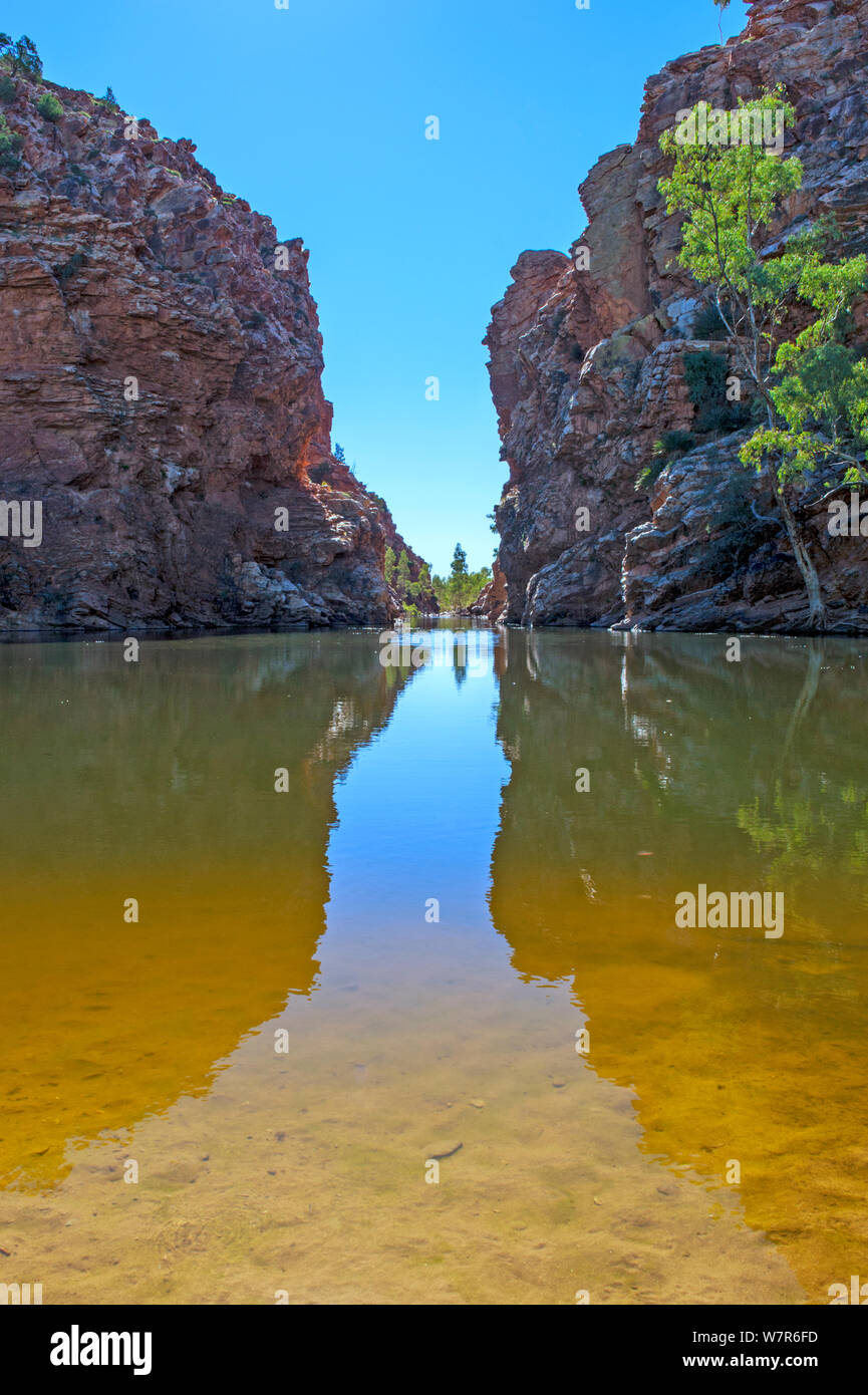 Ellery Creek Big Hole, West MacDonnell Ranges, Alice Springs, Northern Territory, Australien Stockfoto