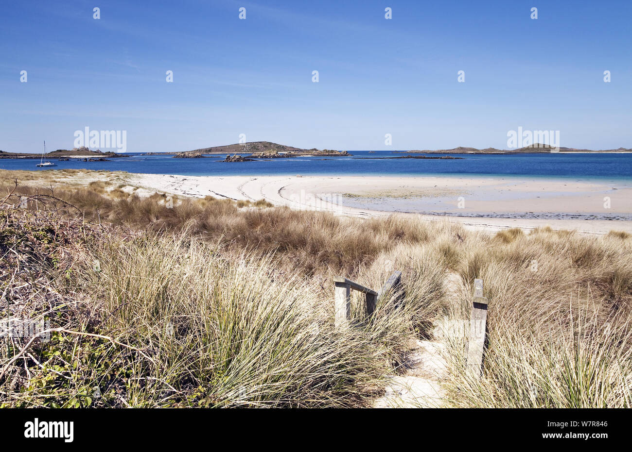 Pfad hinab zum Blockhaus Strand, Tresco, Isles of Scilly, Cornwall, England, UK, Mai 2012. Stockfoto