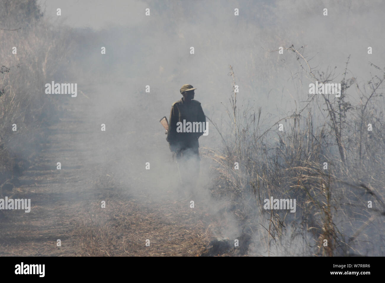 Zambian Wildlife Authority warden im Rauch von einem grasland Feuer, South Luangwa National Park, Sambia. Juni 2011 Stockfoto