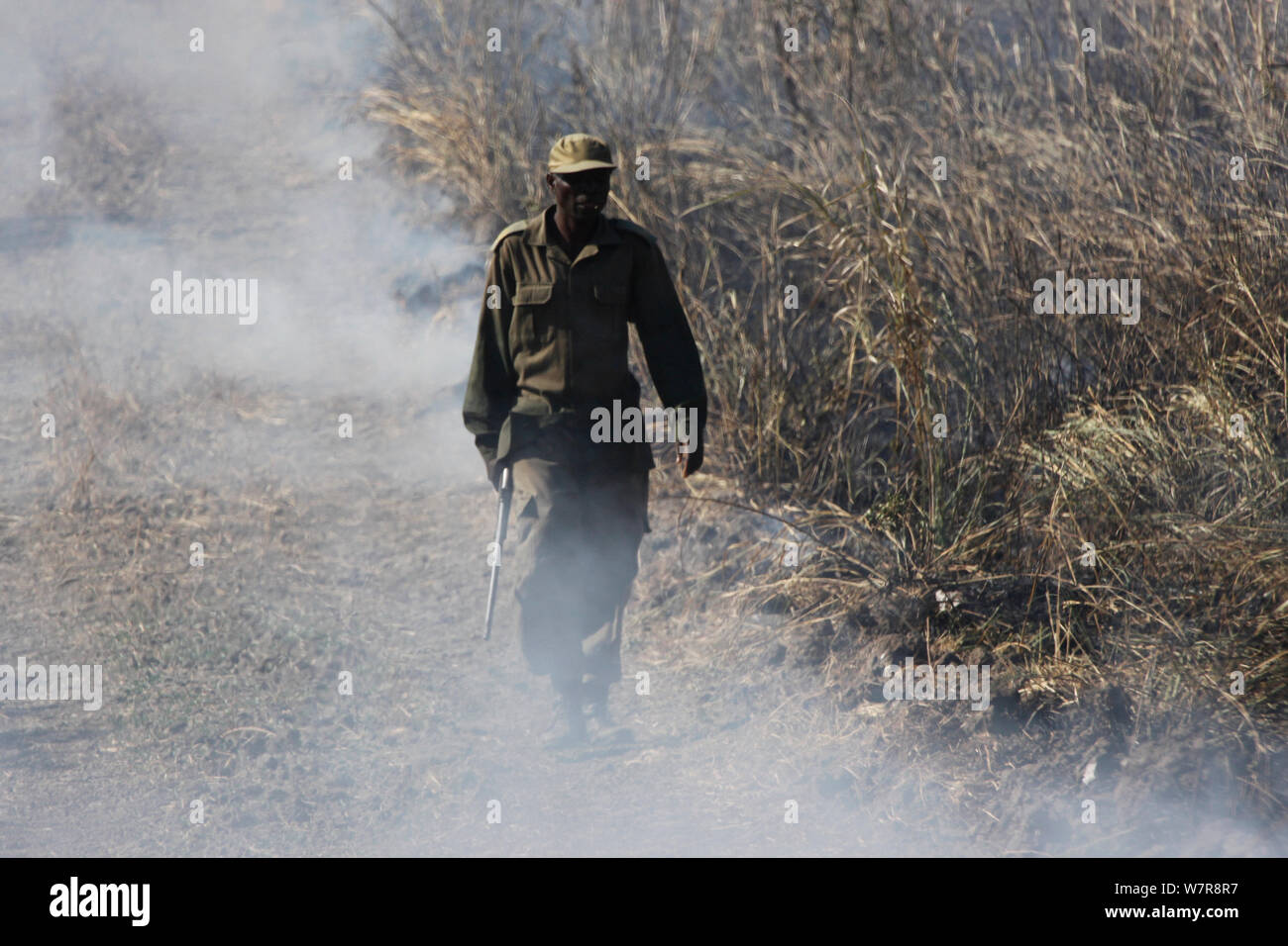 Zambian Wildlife Authority warden entlang einer Spur, der Rauch von einem grasland Feuer, South Luangwa National Park, Sambia. Juni 2011 Stockfoto