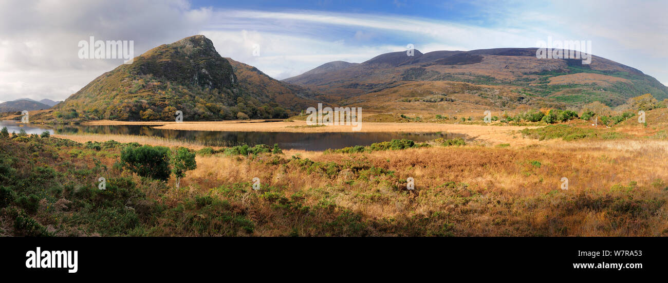 Eagle Rock, Nationalpark Killarney, County Kerry, Irland, November 2012 Stockfoto