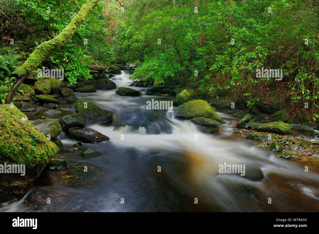 Torc Fluss, Nationalpark Killarney, County Kerry, Irland. Stockfoto