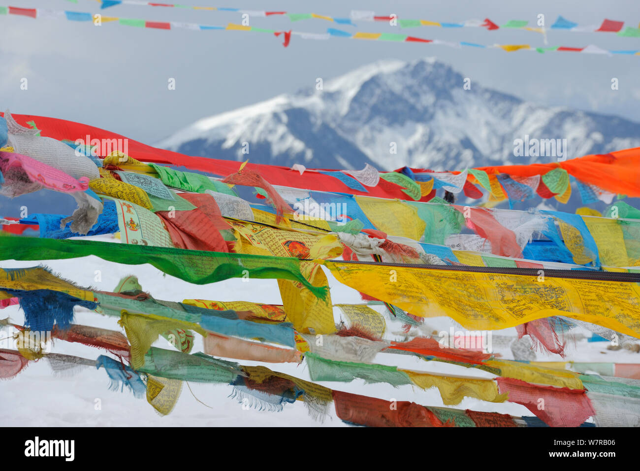 Yapaya Pass, und Buddhistische Schnee/Gebetsfahnen, Baima Schneeberg, Provinz Yunnan, China, April 2011 Stockfoto