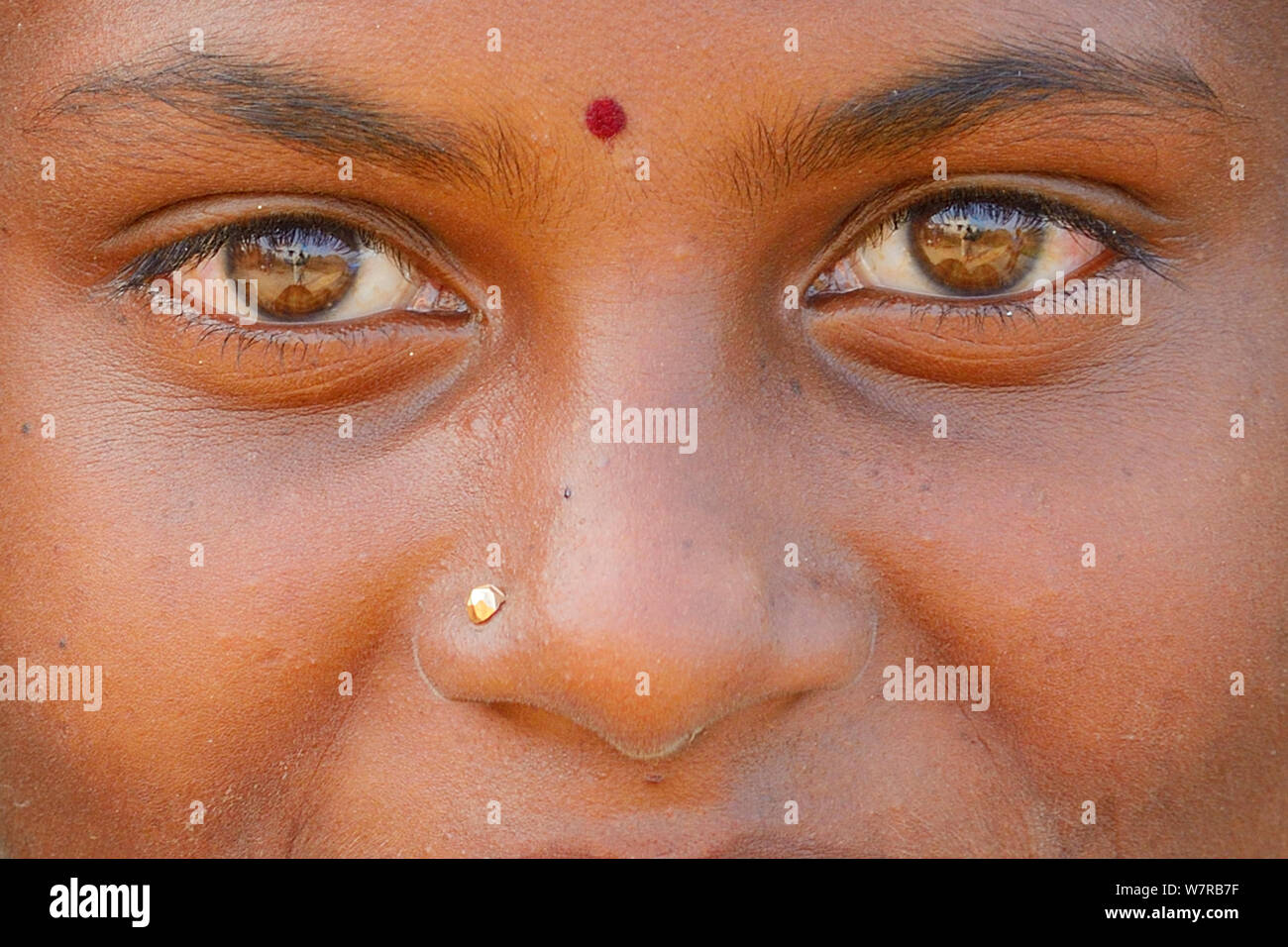 Mädchen mit Bindi und Nasenpiercing, Tongal Dorf, Pulicat See, Tamil Nadu, Indien, Januar 2013. Stockfoto