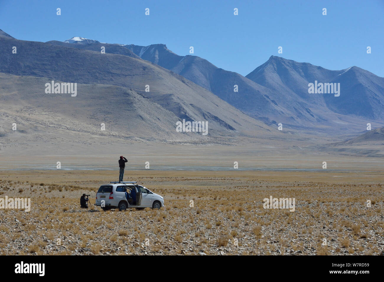 Männer mit Blick in die Ferne, einer steht auf Auto, in tibetische Wildesel (Equus Kiang) Lebensraum Tso Kar See, Chang Thang, in der Höhe von 4600 m, Ladakh, Indien, Oktober 2012 Stockfoto