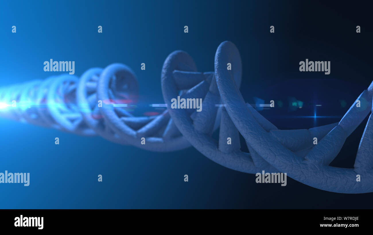 DNA-Code. Abstrakten 3d polygonalen Drahtmodell DNA-Molekül helix Spirale. Loop Animation. Stockfoto