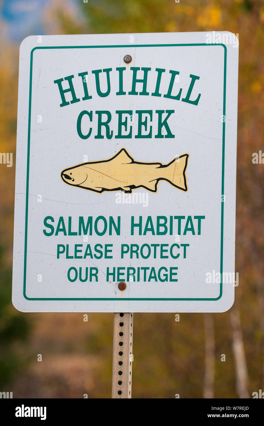 Ein Zeichen zu helfen, ein Fluss für Lachse laichen zu schützen. Hiuihill Creek, Adams River, British Columbia, Kanada, Oktober. Stockfoto