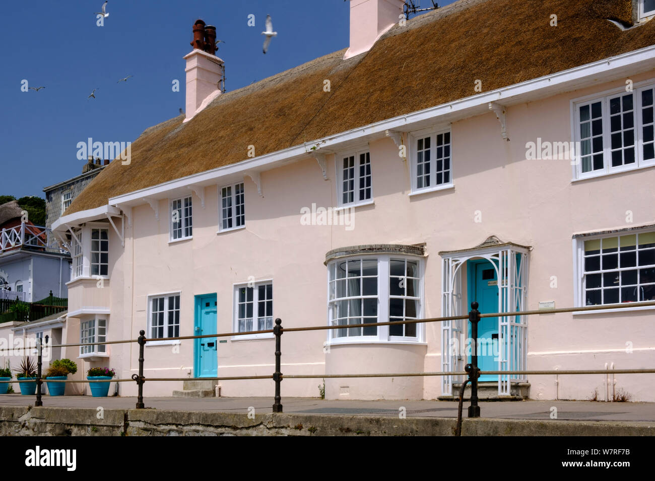 Reetgedeckte Cottages Lyme Regis, Dorset England Stockfoto