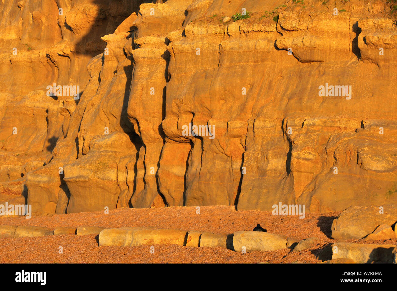 East Cliff, West Bay, Dorset, UK, Januar 2013. Stockfoto