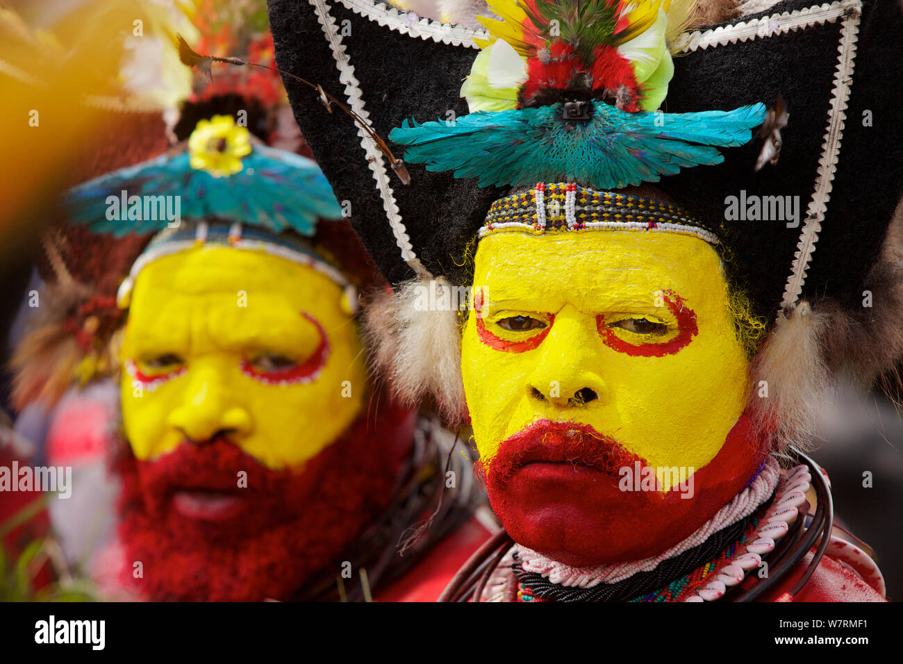 Die Huli ingsing' Tanz Zeremonie. Huli wigmen tragen Echthaar Perücken und Federn von verschiedenen Vögeln von Paradies und andere Vogelarten. Tari Tal, Southern Highlands Provinz, Papua Neu Guinea. November 2010 Stockfoto