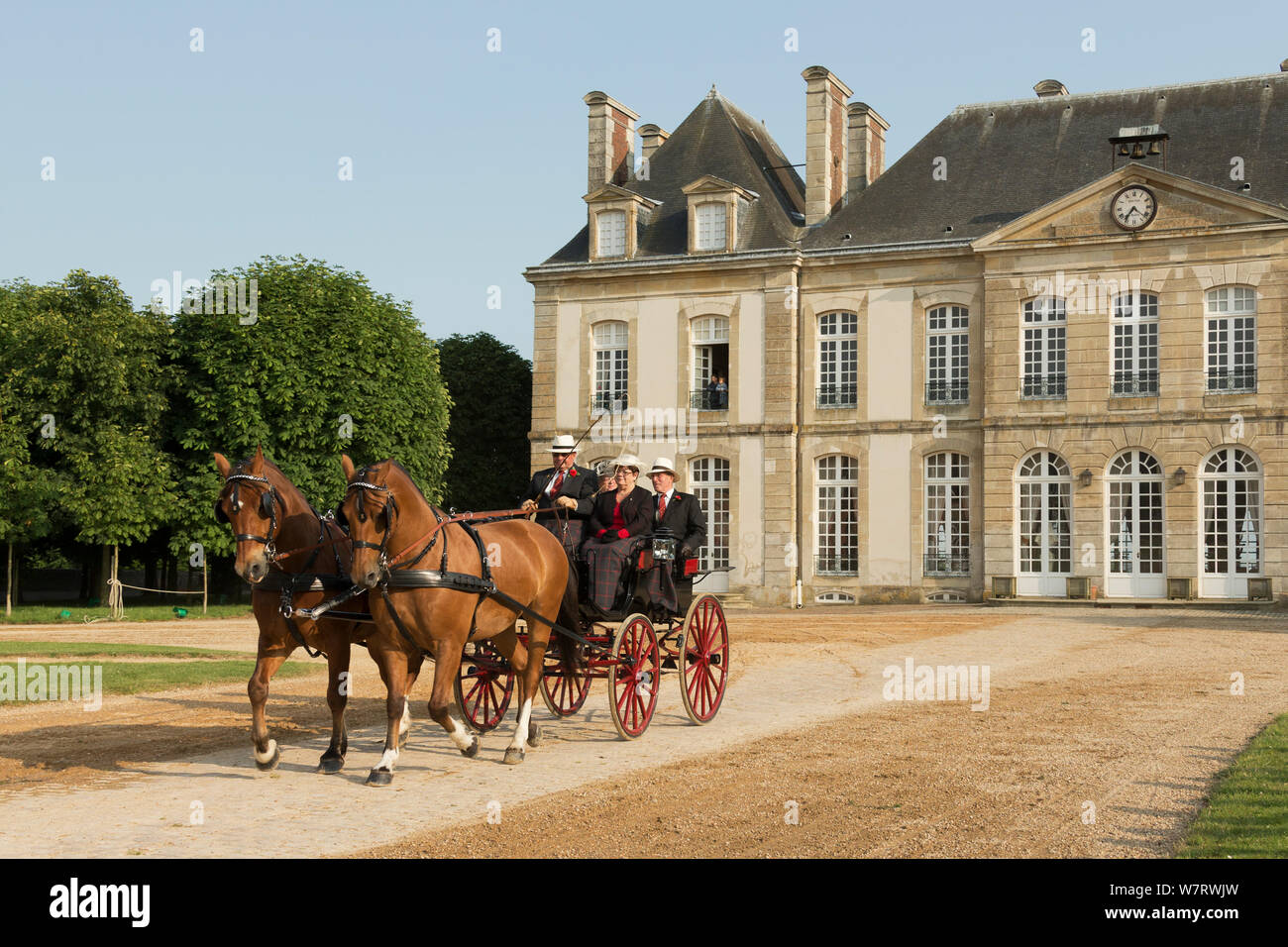 Zwei traditionell gekleidete Paare fahren zwei Delémont Pferde, zu einem phaeton genutzt, im Ehrenhof des Haras du Pin, Frankreich die älteste National Stud, bei Le Pin-au-Haras, Calvados, Basse-Normandie, Frankreich. Juli 2013 Stockfoto
