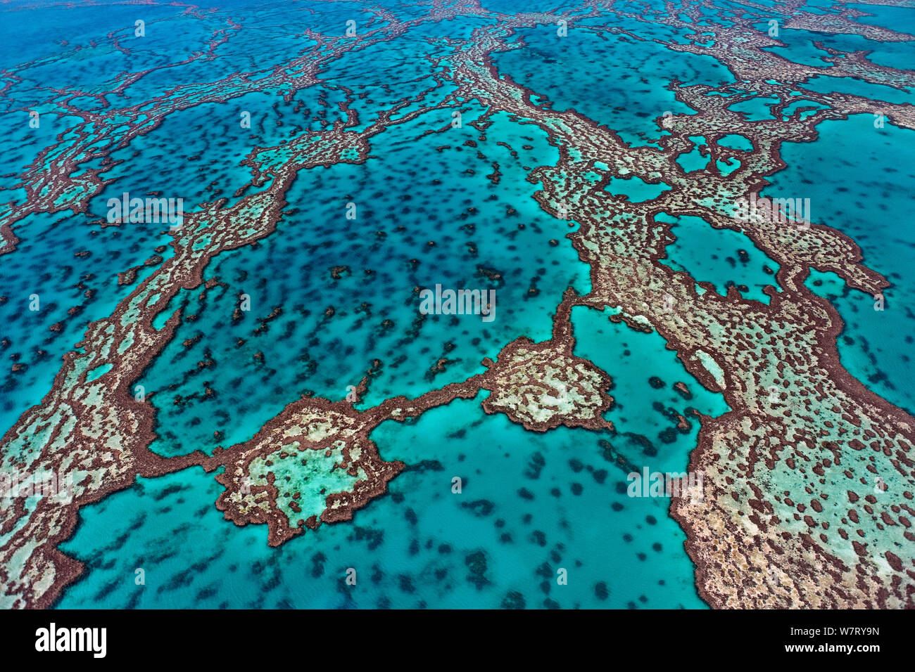 Luftaufnahme von Hardy Reef, Great Barrier Reef, Queensland, Australien, Dezember 2010. Stockfoto