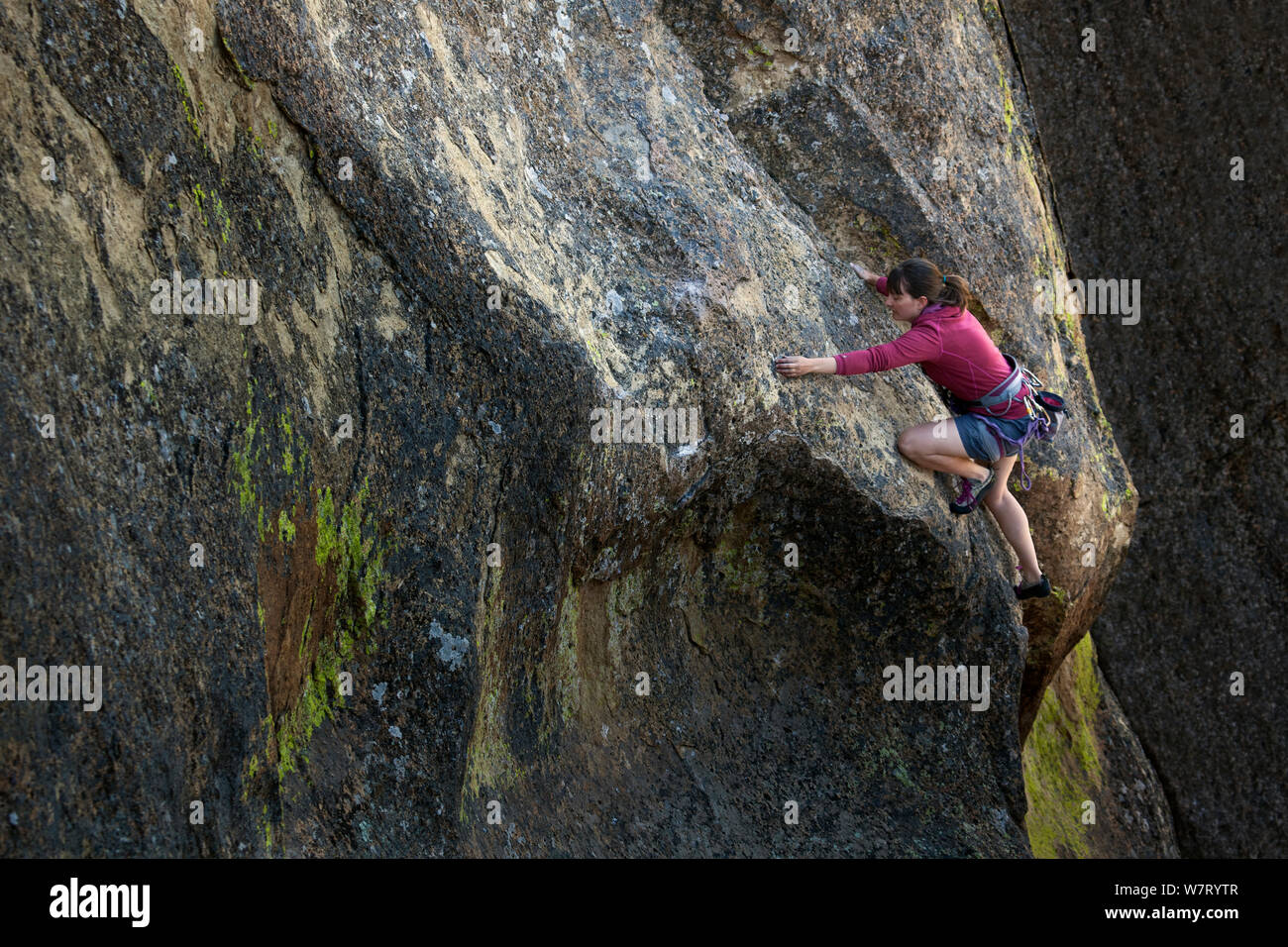 Frau klettern die schreiende Gelbe Zonkers Route in Smith Rocks State Park, Oregon. Mai 2013. Model Released. Stockfoto