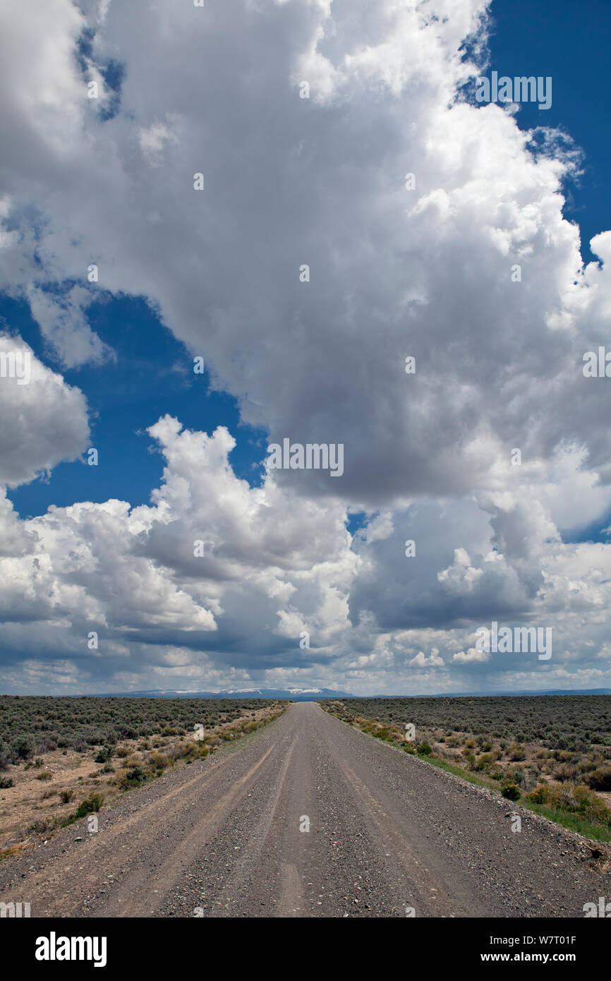 Blauer Himmel mit Wolken über der Straße im Herzen Mountain National Antelope Refuge, Oregon, USA, Mai 2013. Stockfoto