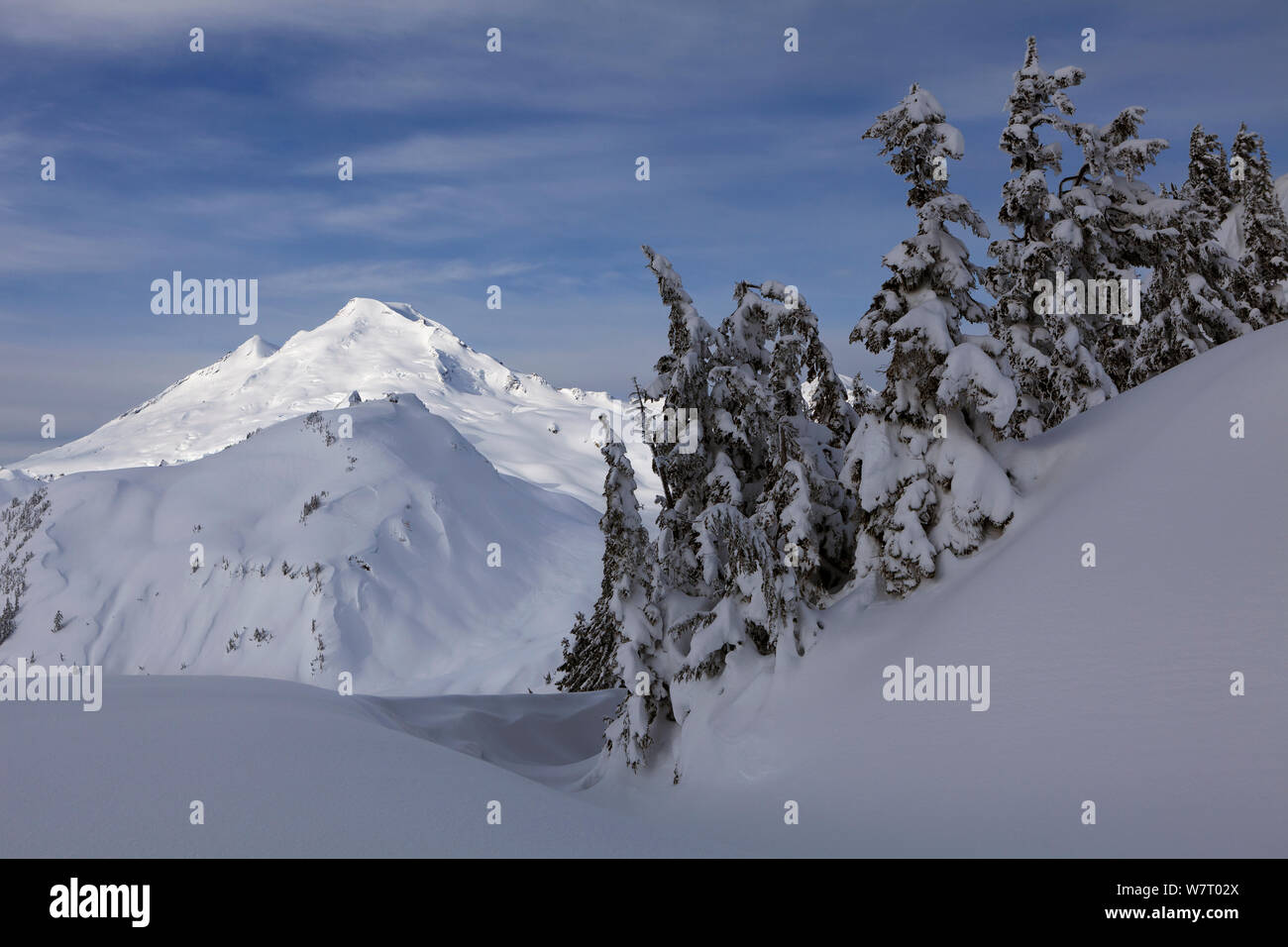 Winter Blick auf Mount Baker vom Artist Point in Heather Lake Recreation Area, Washington, USA. März 2013. Stockfoto