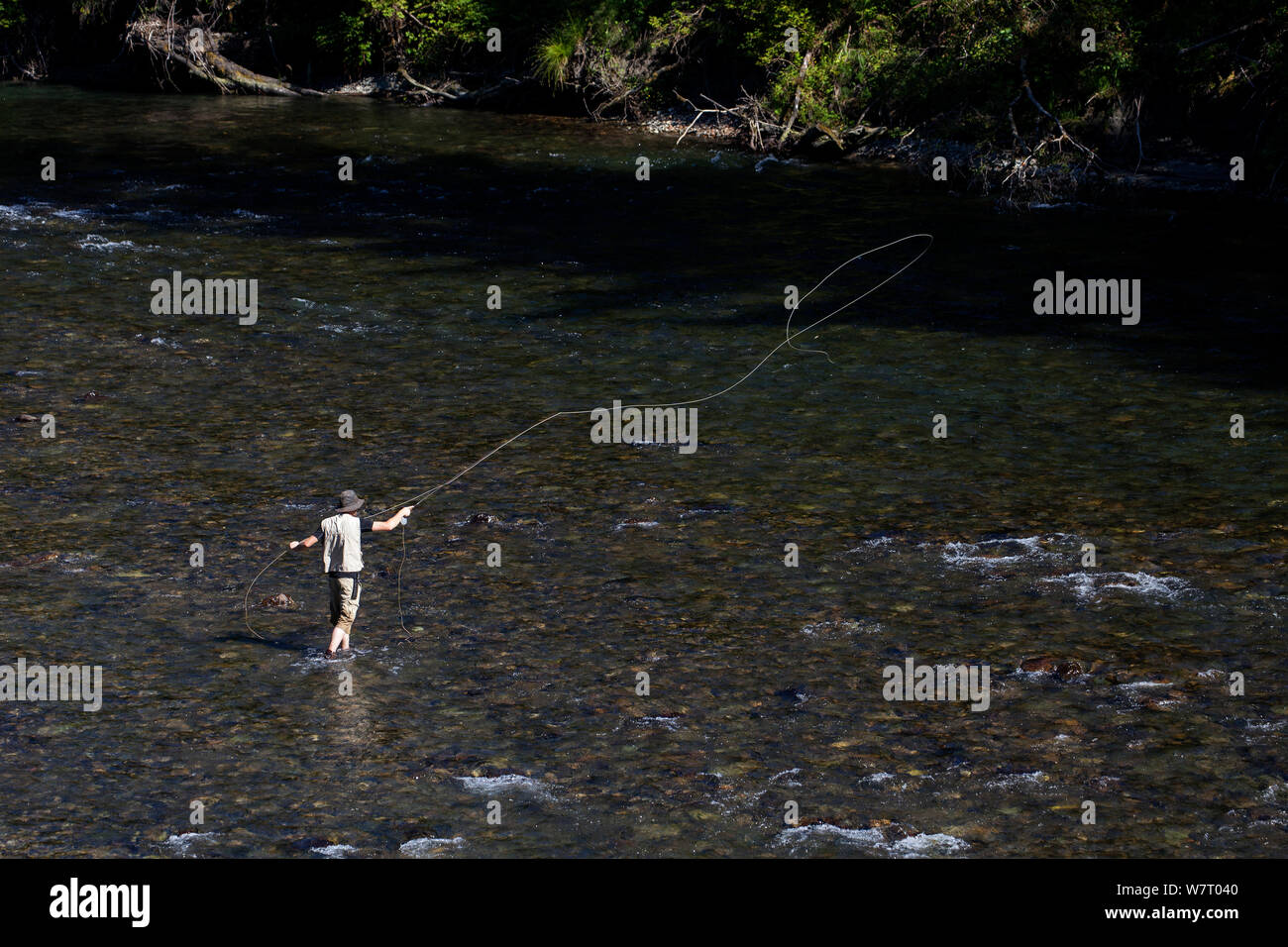 Man Fliegenfischen auf der mittleren Gabel der Snoqualme River in der Nähe von North Bend, Washington, USA, Juli 2013. Model Released. Stockfoto