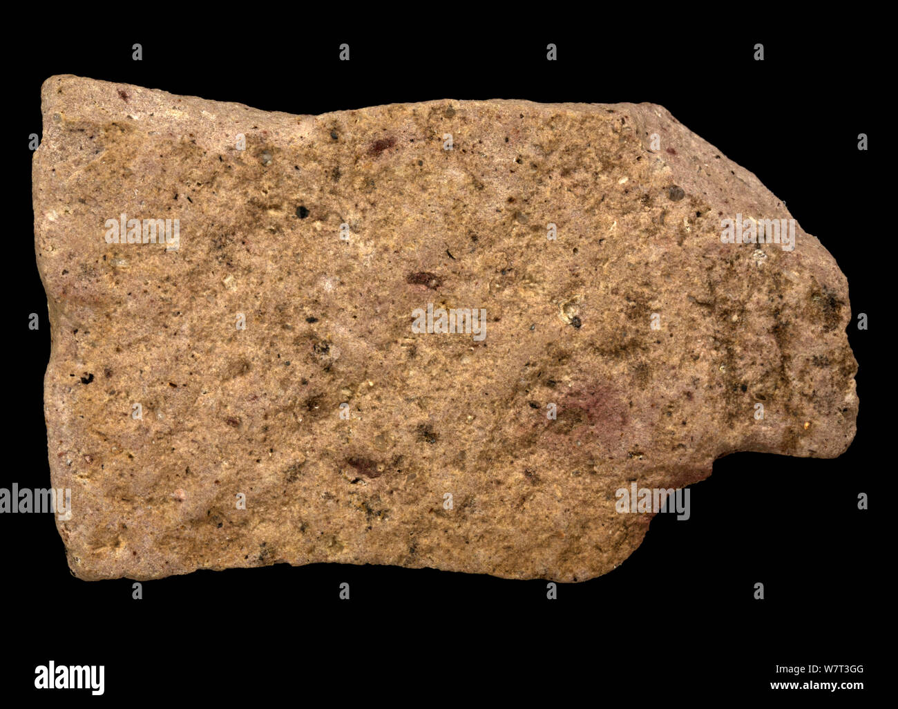 Rhyolith, einem magmatischen und vulkanischen Felsen, der Felsic (silica-reiche) Zusammensetzung. Stockfoto