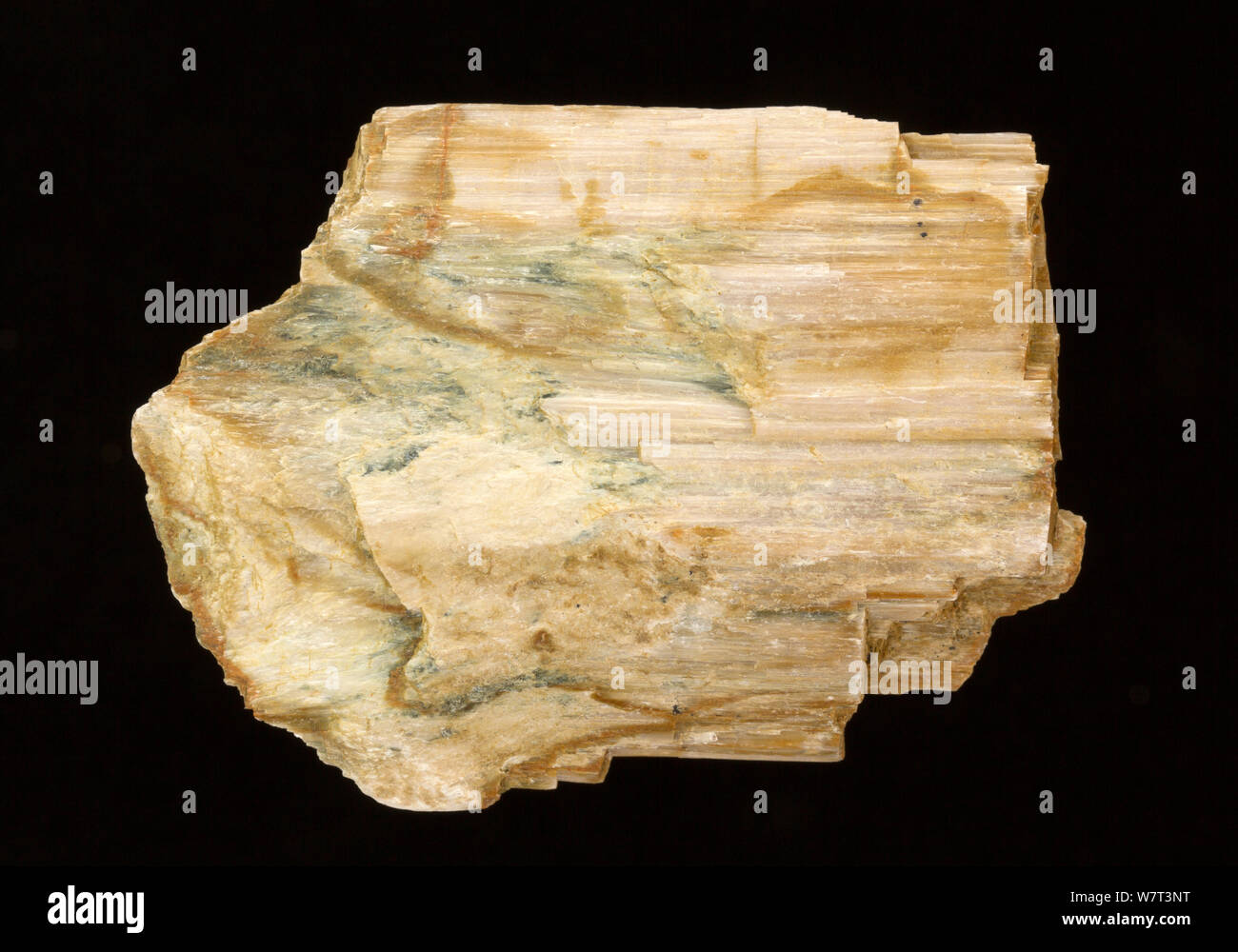 Anthophyllit, ((Mg,Fe)7Si8O22(OH)2) eine Art der Amphibole Mineral, aus dem Süden Finnlands Stockfoto