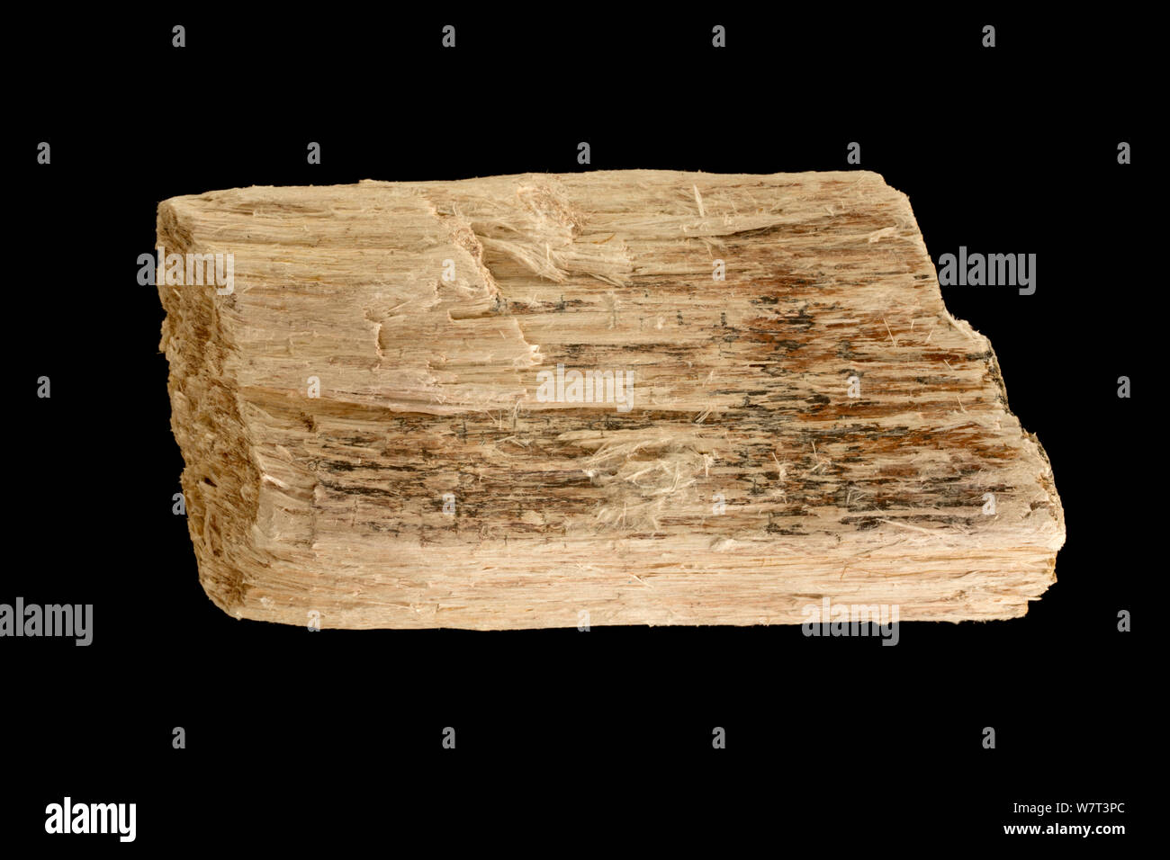 Serpentine Absestos, Vielzahl Chrysotil, (Mg3Si2O5(OH)4) von Thetford Mines, Quebec, Kanada. Es ist ein weicher, faseriges Silikat Mineral in der Serpentine Gruppe der Schichtsilikate; als solche ist sie unterscheidbar von anderen asbestförmige Mineralien in der amphibole Gruppe. Stockfoto