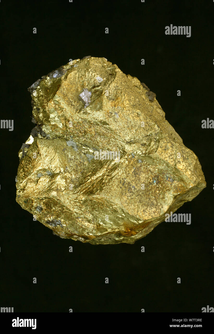 Kupferkies (CuFeS2) ein Mineral Erz aus Kupfer, von Madan, Bulgarien. Dies ist ein Kupfer Eisensulfid Mineral, das kristallisiert im Tetragonalen System. Stockfoto