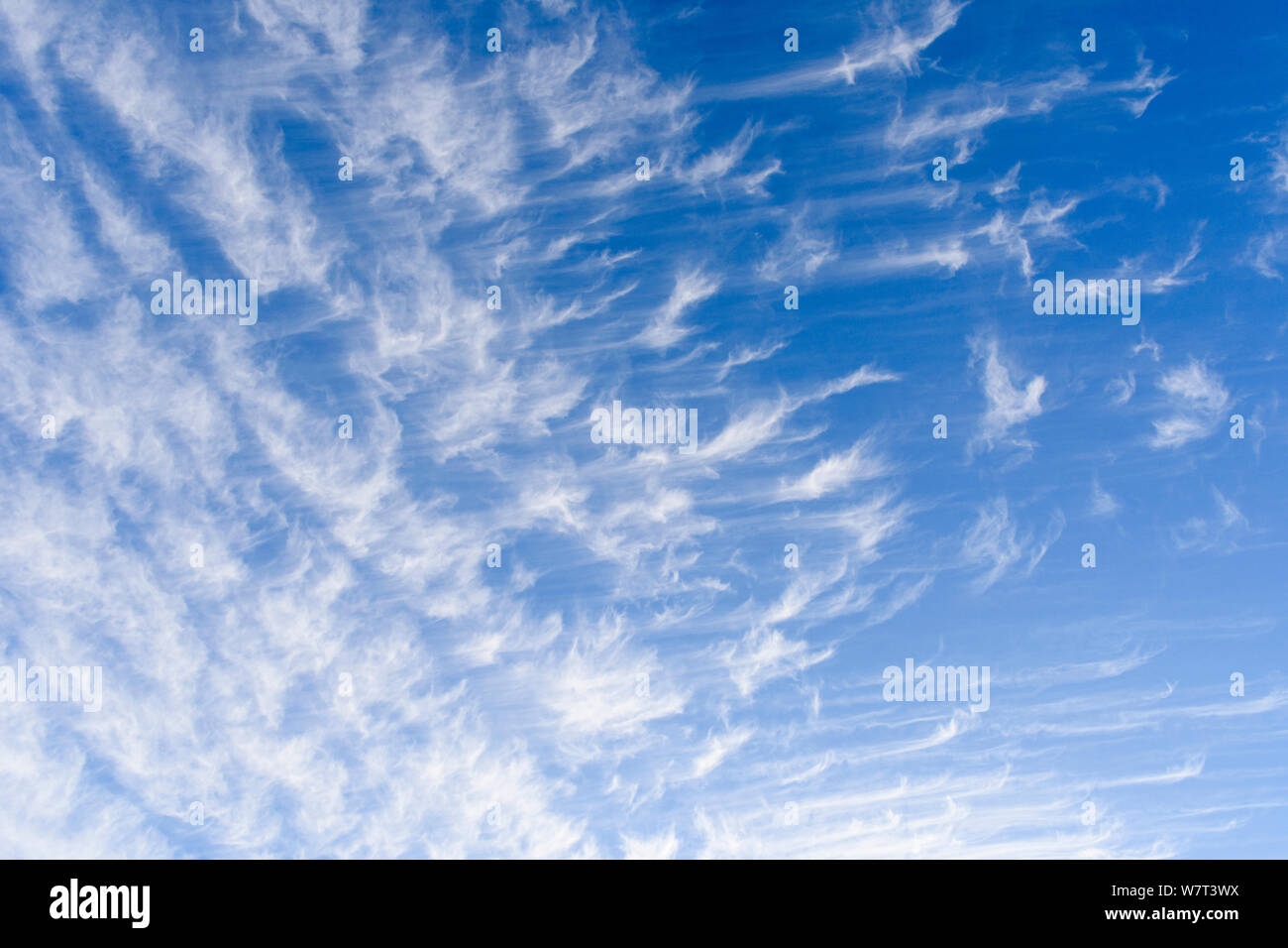 Skyscape von Zirruswolken vor blauem Himmel Stockfoto