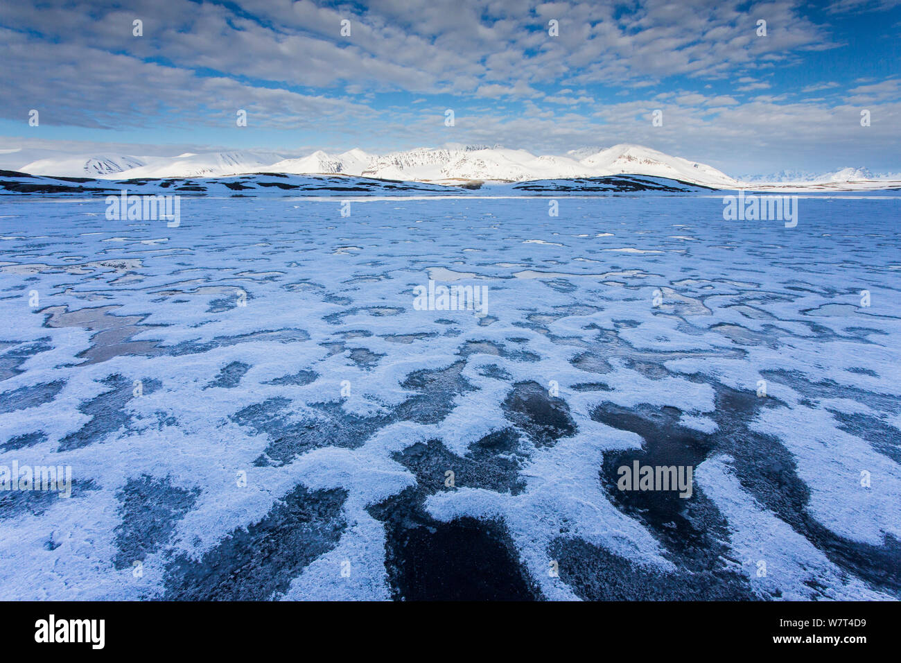 Auftauen von Meereis im Woodfjord, Svalbard, Norwegen, Juni, 2012. Stockfoto