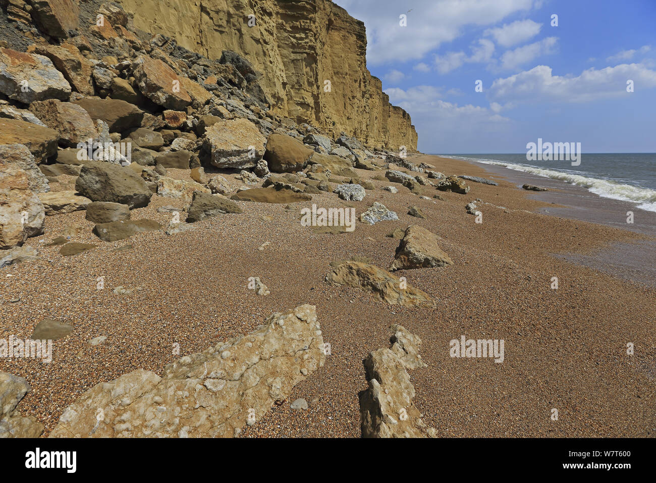 Klippen mit gefallenen Felsen an der Basis, Dorset, UK, Mai 2013. Stockfoto