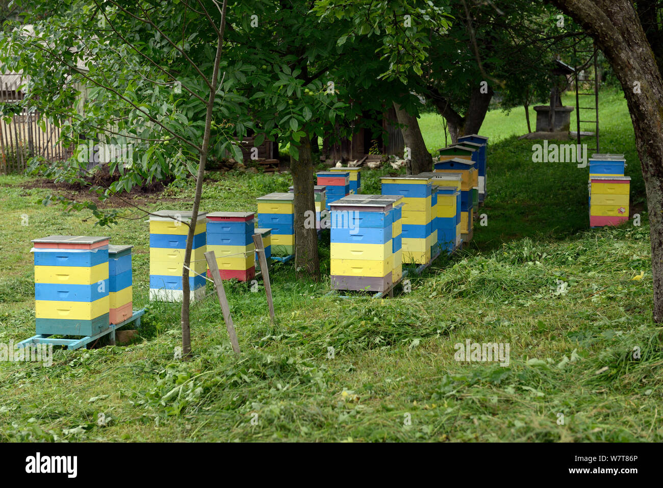 Ukrainische Bienenstöcke, mehrfarbige Fressfeinde abzuschrecken, Transkarpatien, Ukraine. Juli 2013. Stockfoto