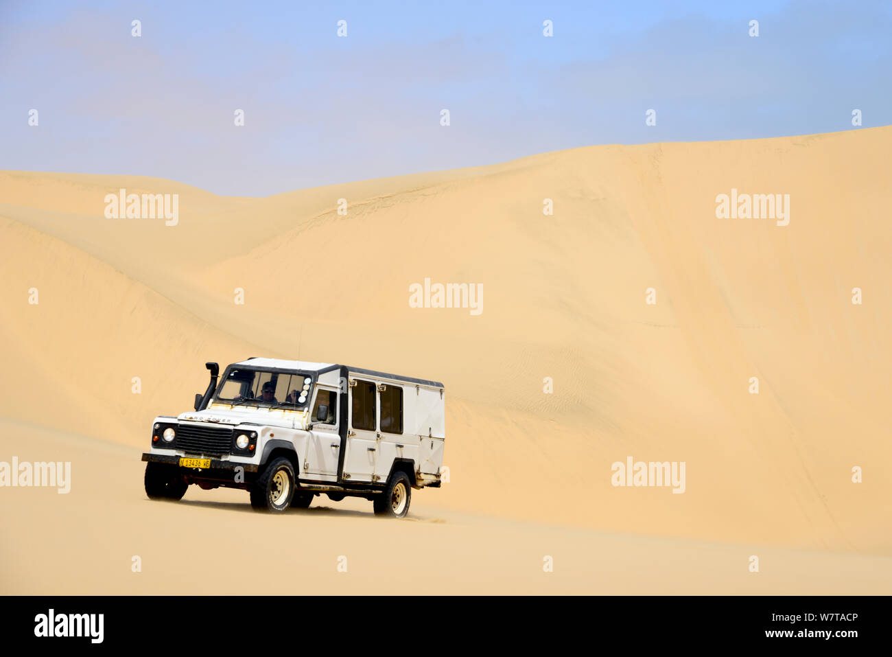 Vier von vier in den Sanddünen der Namib Wüste. Namib Naukluft National Park, Namibia, September 2013. Stockfoto