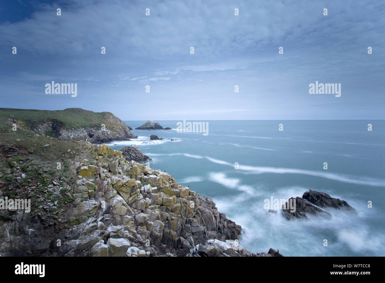 Küstenlandschaft mit felsigen Landzunge. Große Saltee, Saltee Inseln, County Wexford, Irland, Juni. Stockfoto
