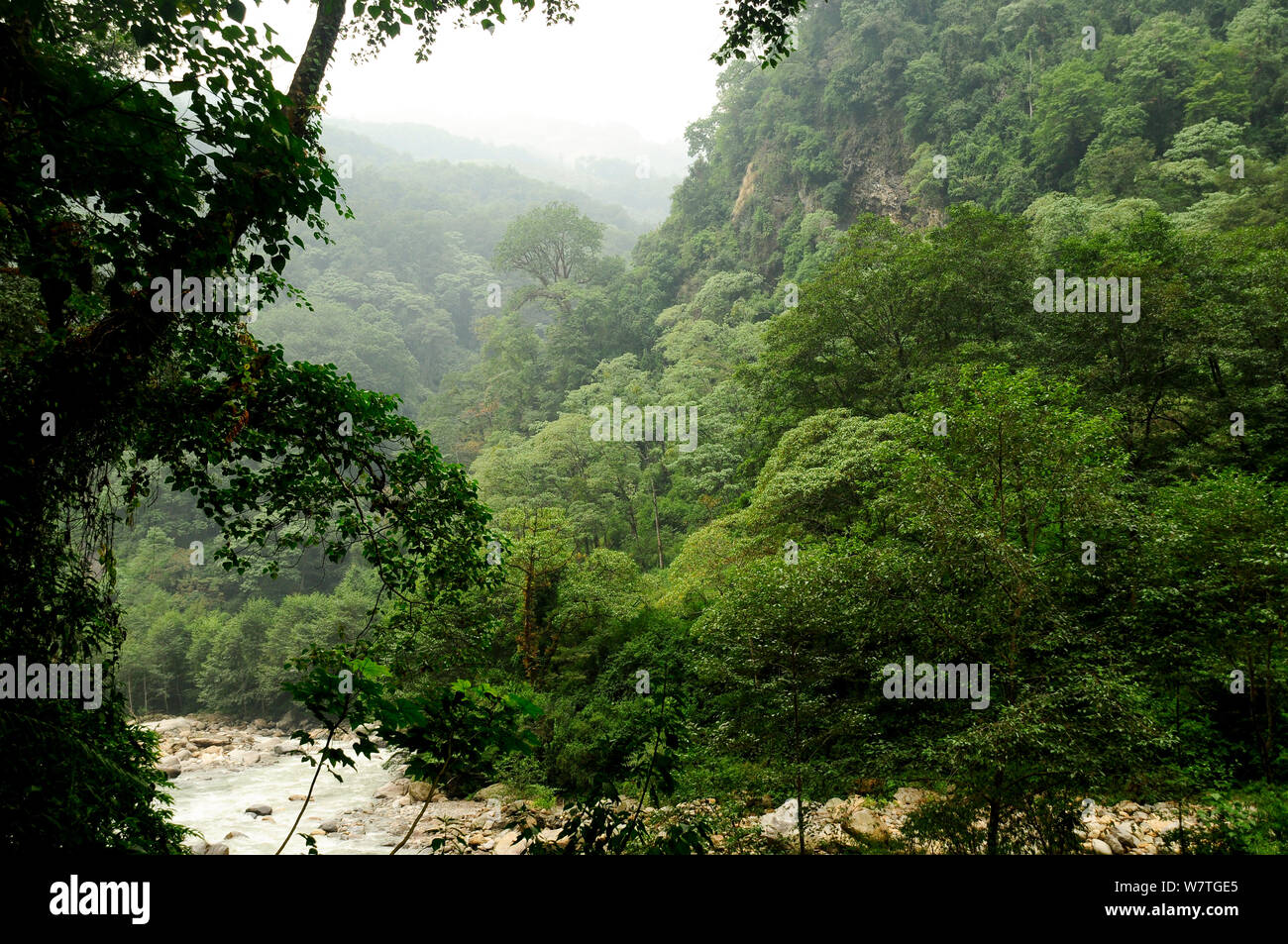 Modi Khola River Valley. Annapurna Sanctuary, zentralen Nepal, November 2011. Stockfoto