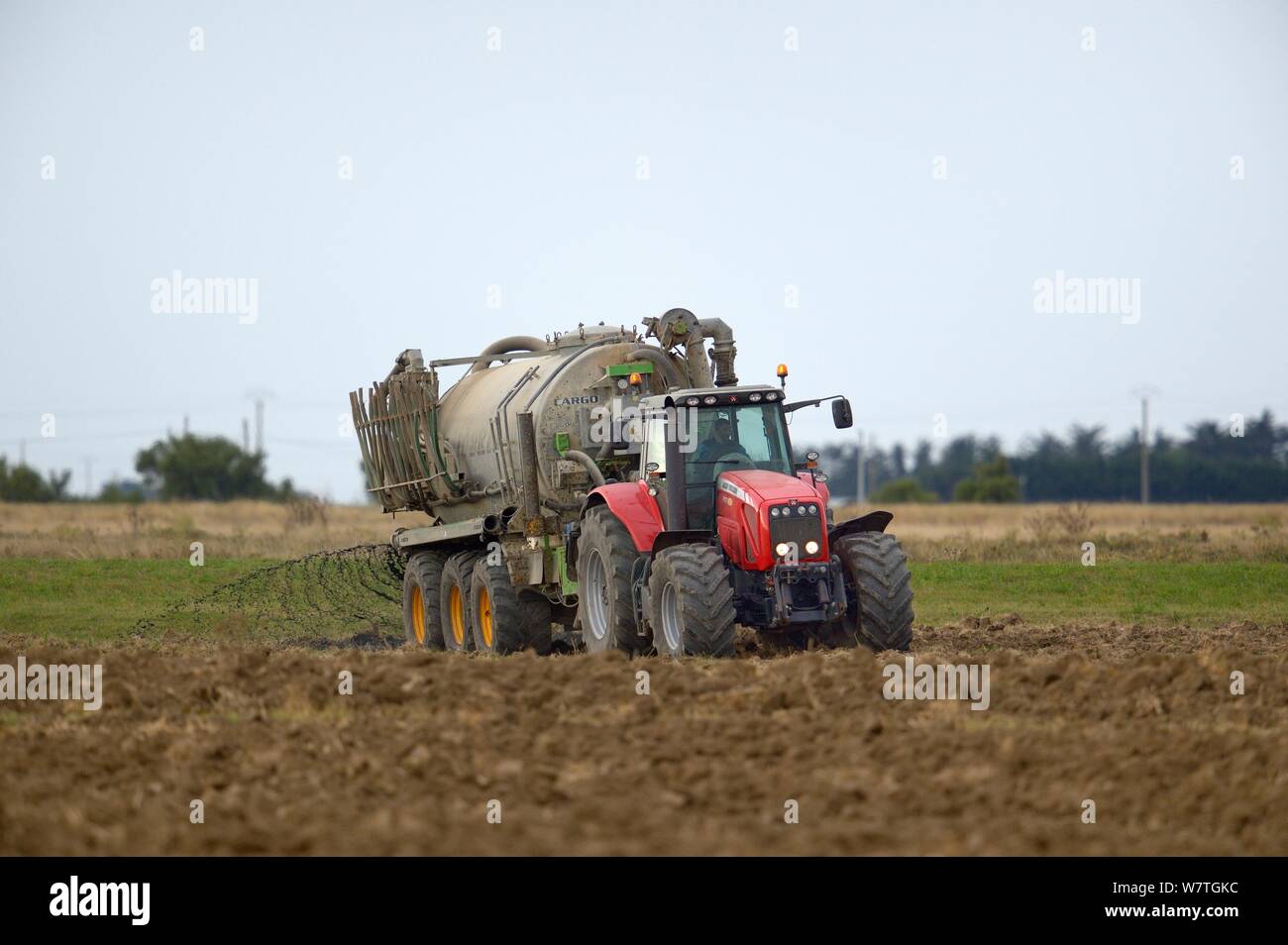 Landwirtschaftliche Zugmaschine Ausbringung von Gülle, bretonische Marsh, Frankreich, September. Stockfoto