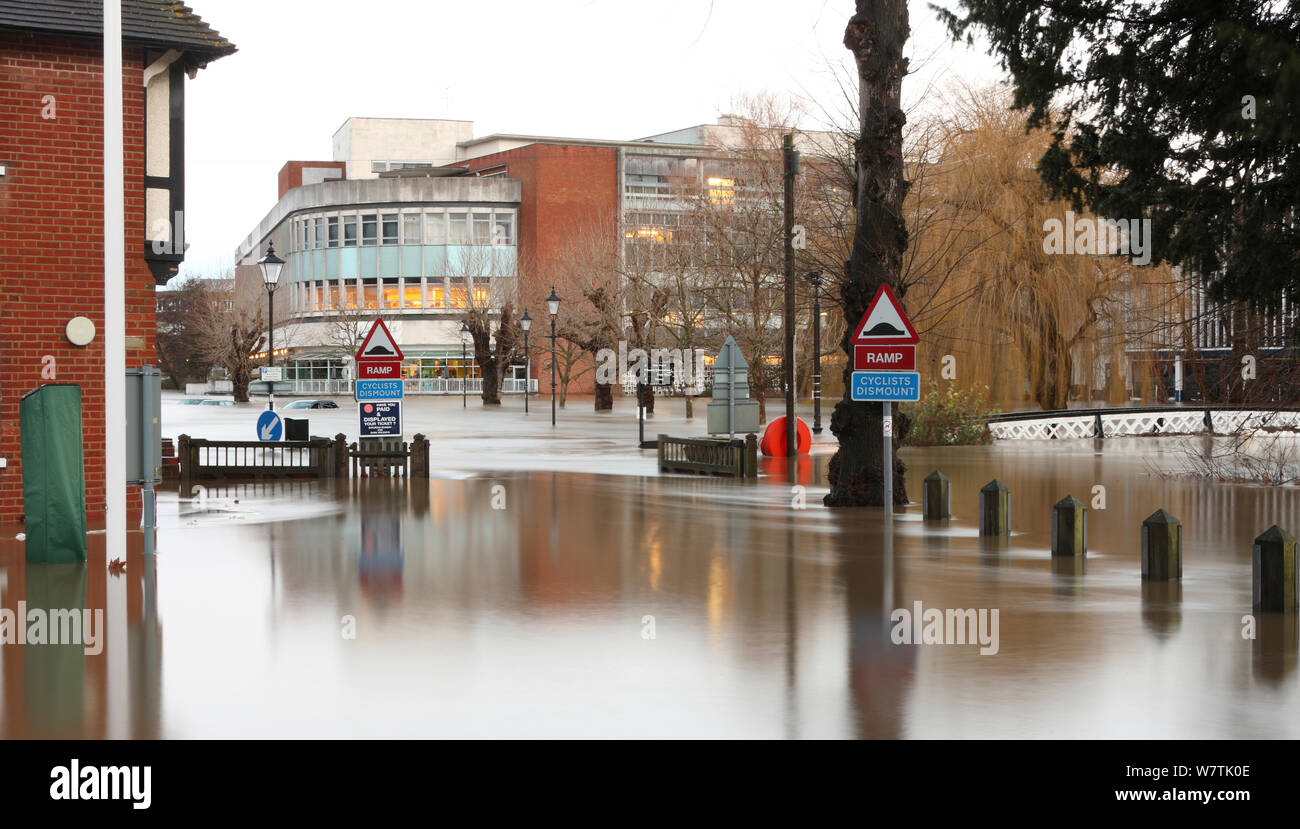 Parkplatz am Fluss Wey überflutet, mit Autos fast vollständig während der Weihnachtszeit Hochwasser 2013, Guildford versenkt. Surrey, England, UK. 25. Dezember 2013. Stockfoto