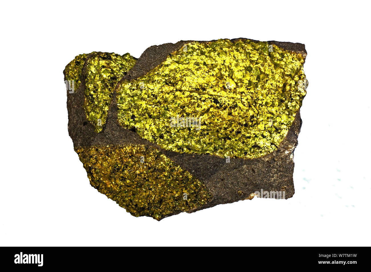 Olivin in Basalt, San Carlos Apache Reservierung, Arizona, USA, Oktober 2013. Stockfoto