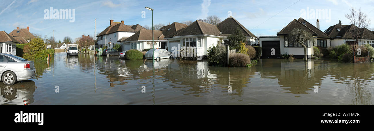 Überflutete Straße in Weybridge, Surrey, England, UK, 10. Februar 2014. Stockfoto