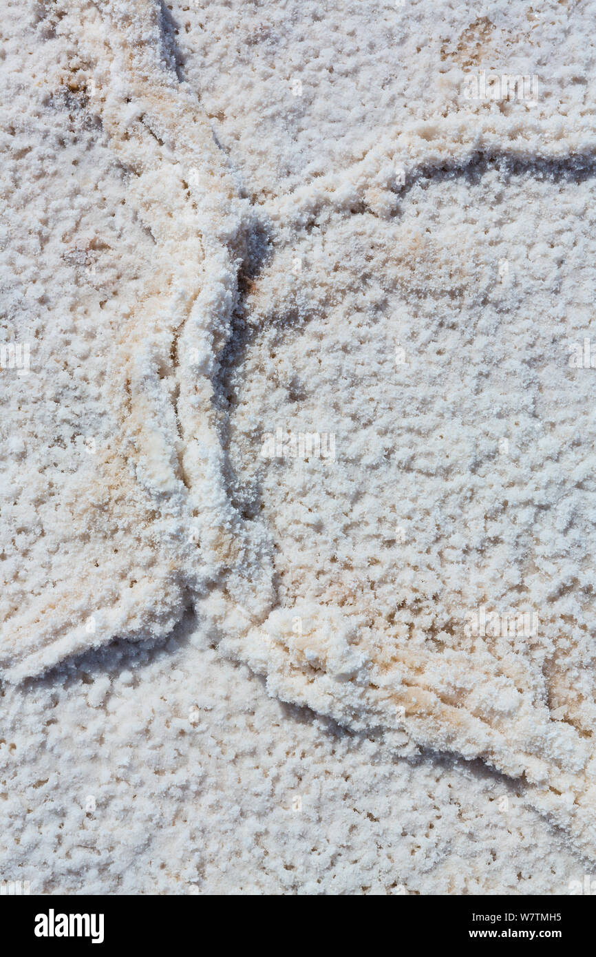 Muster in der Salz pands der Badwater Basin, Death Valley National Park, Kalifornien, USA, März 2013. Stockfoto